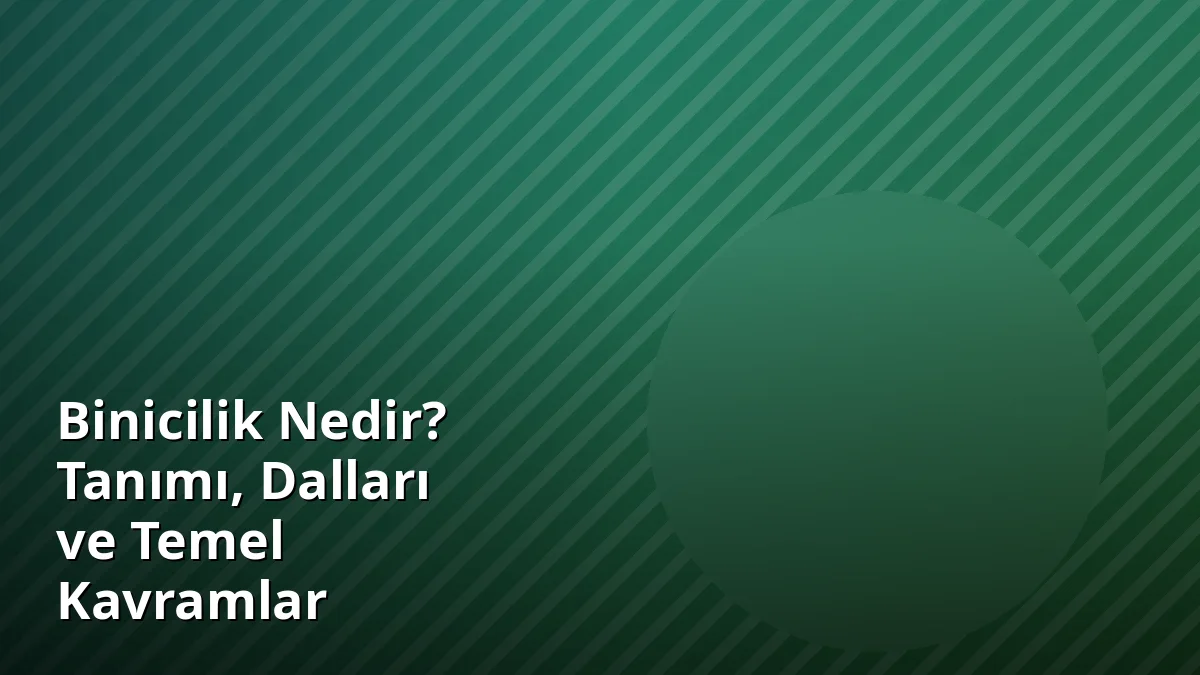 Binicilik Nedir? Tanımı, Dalları ve Temel Kavramlar