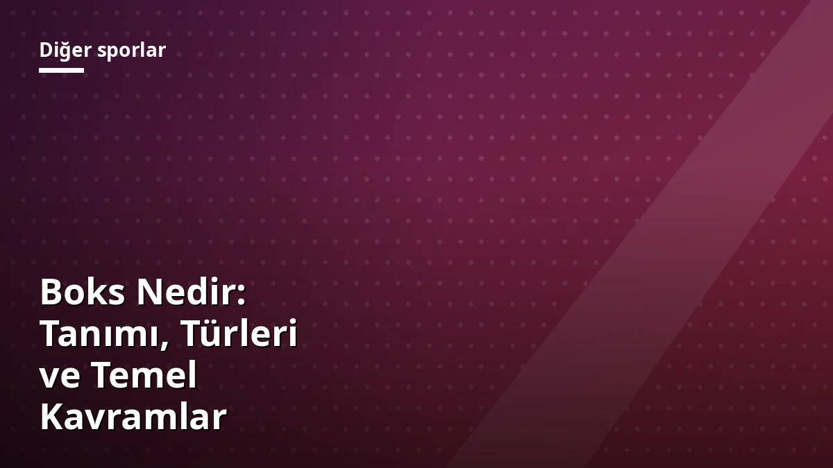Boks Nedir: Tanımı, Türleri ve Temel Kavramlar