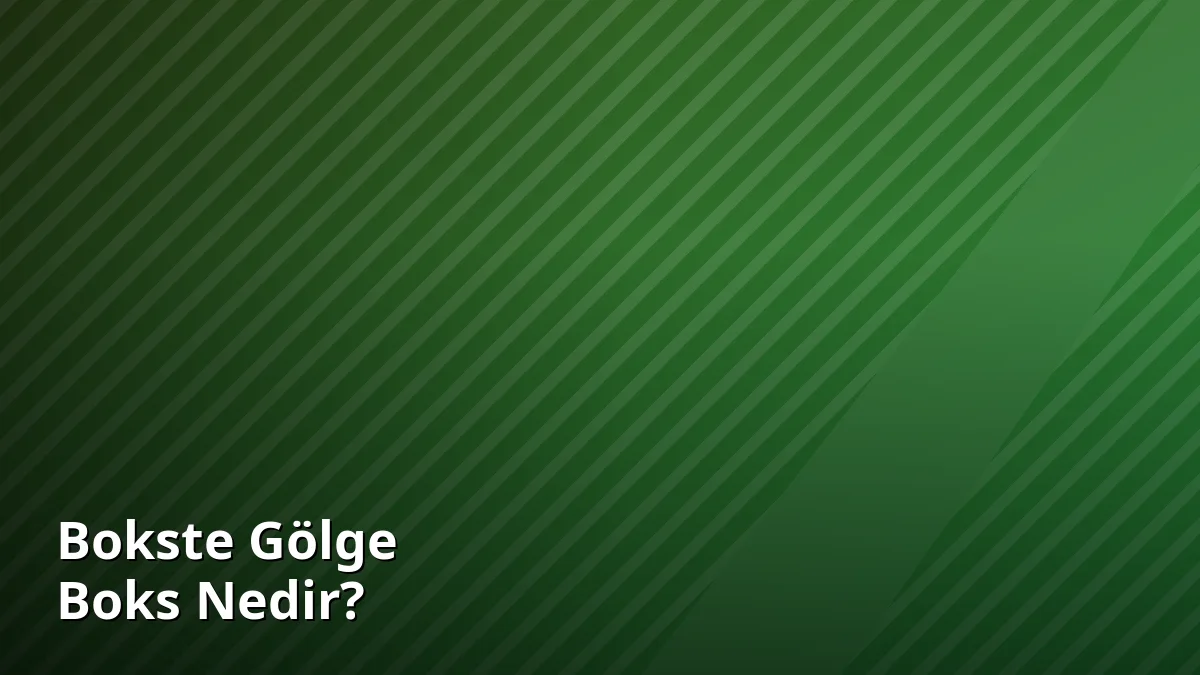 Bokste Gölge Boks Nedir?