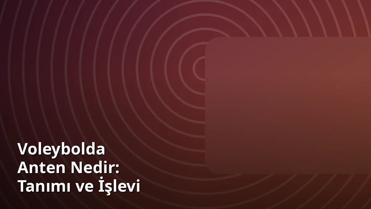 Voleybolda Anten Nedir: Tanımı ve İşlevi