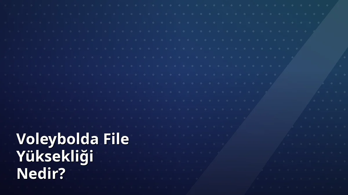 Voleybolda File Yüksekliği Nedir?
