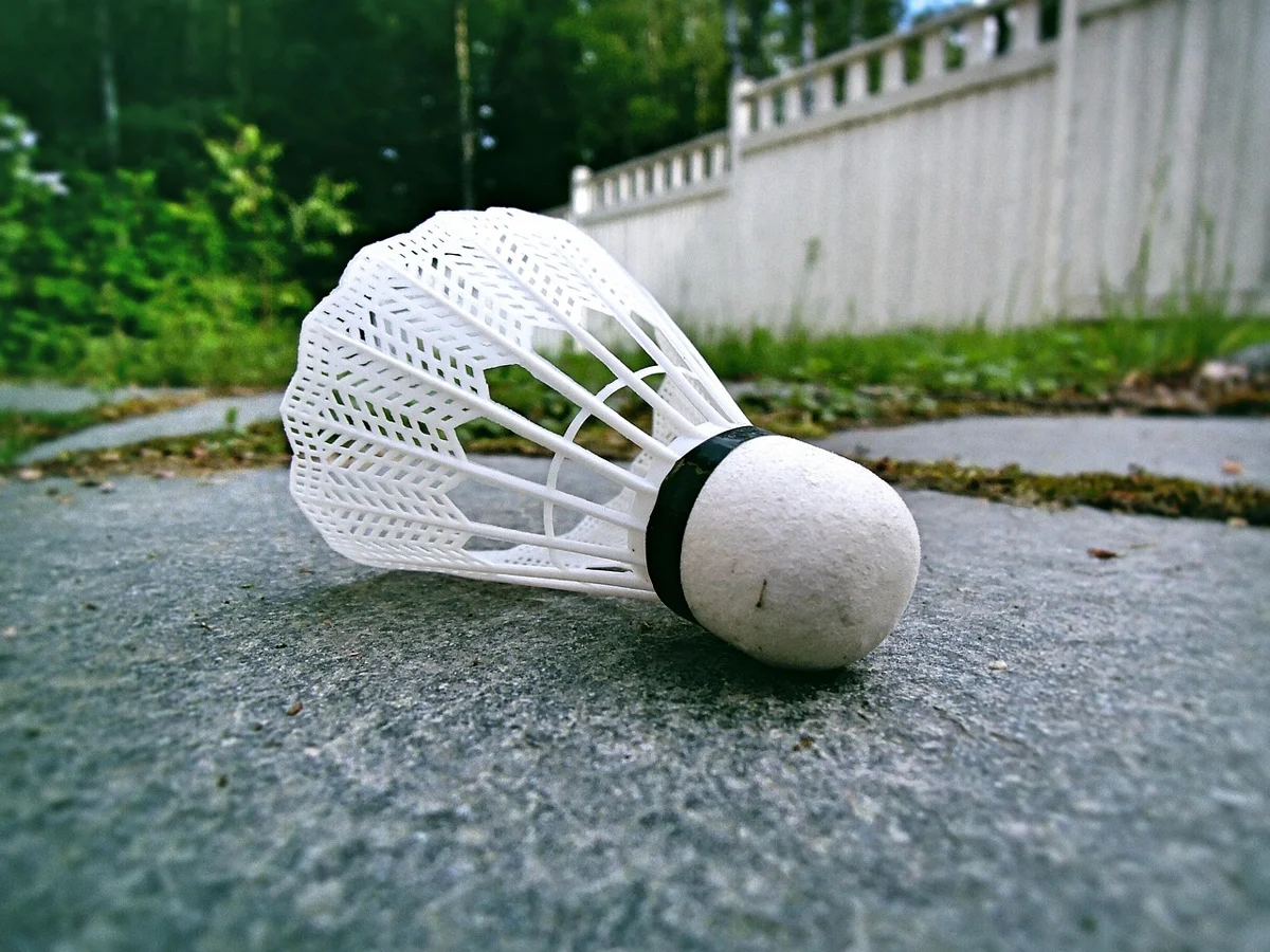 Badminton Saha Çizgileri Nedir: Tanımı ve Anlamı