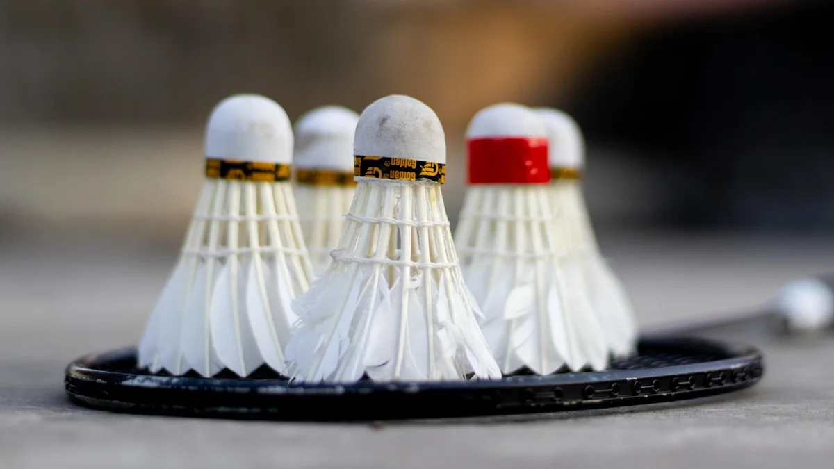 Badminton Kortunun Ölçüleri Nedir?