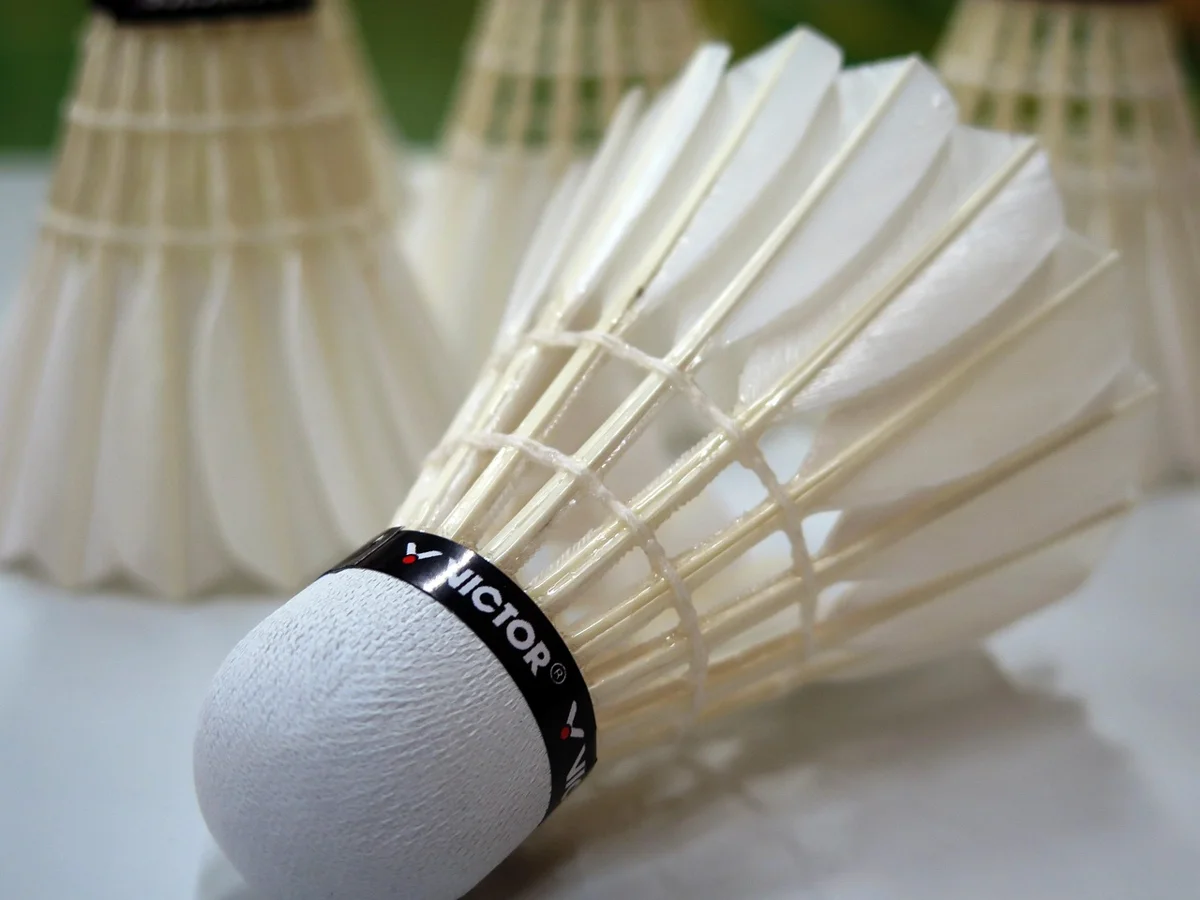 Badmintonda Tüy Topun Evrimi Nedir?