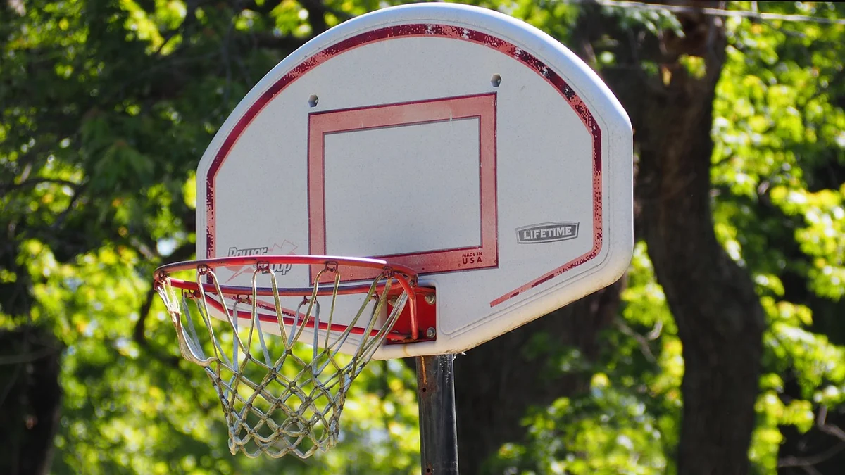 Basketbol potası (temsili fotoğraf)