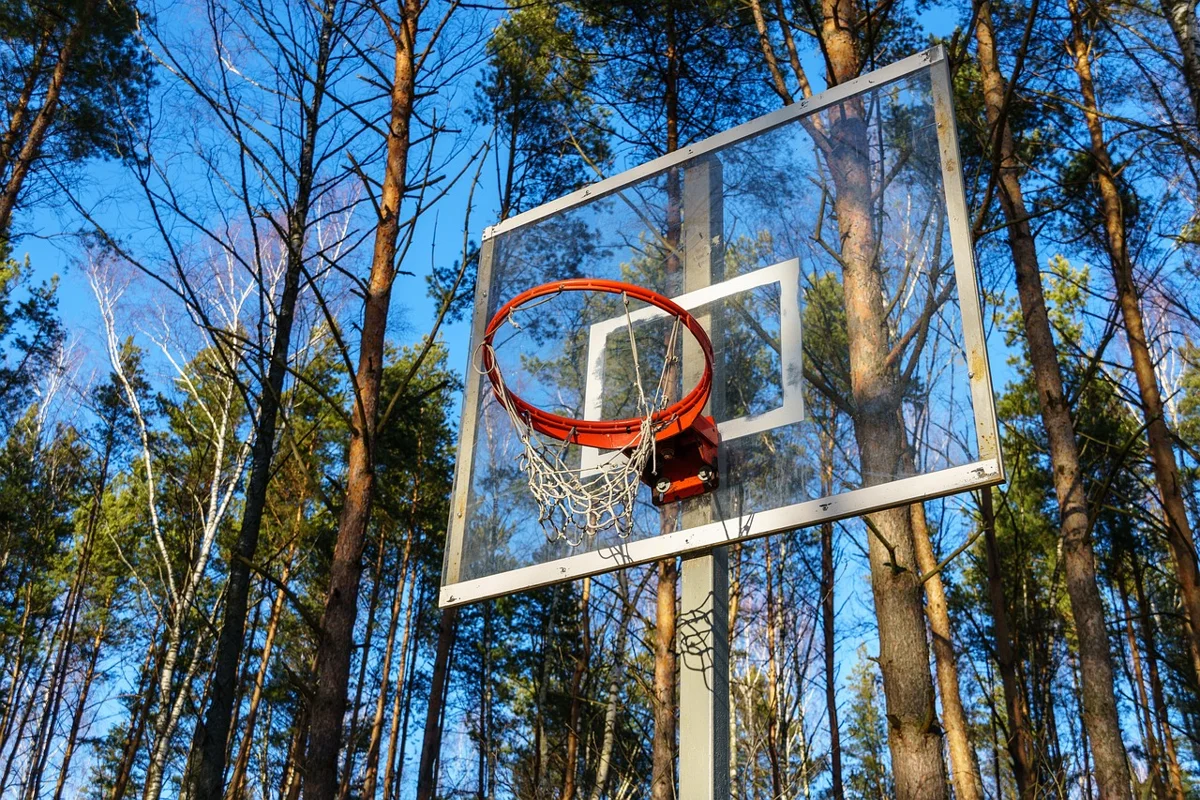 Basketbol potası (temsili fotoğraf)
